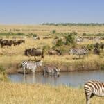 Revalidatiebehandeling in Zuid-Afrika: Een Inspirerende Omgeving voor Herstel