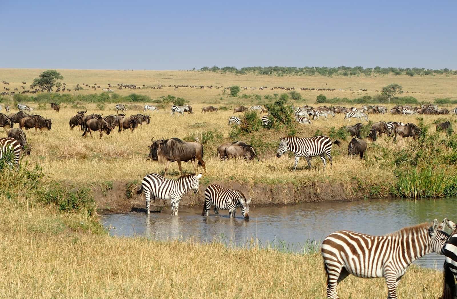 Revalidatiebehandeling in Zuid-Afrika: Een Inspirerende Omgeving voor Herstel